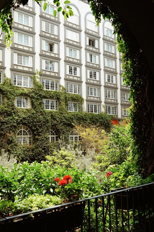 The Wellness House: las cuatro estaciones dentro del Four Seasons