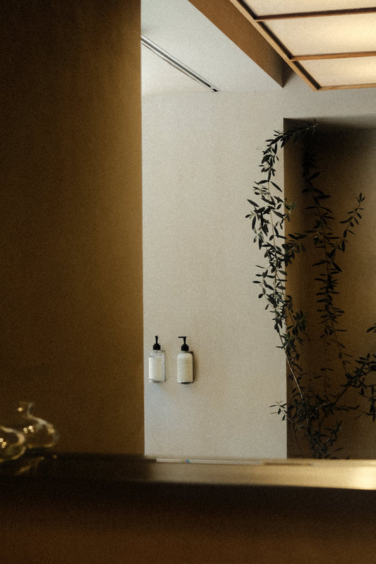 Polanco según la guía Michelin