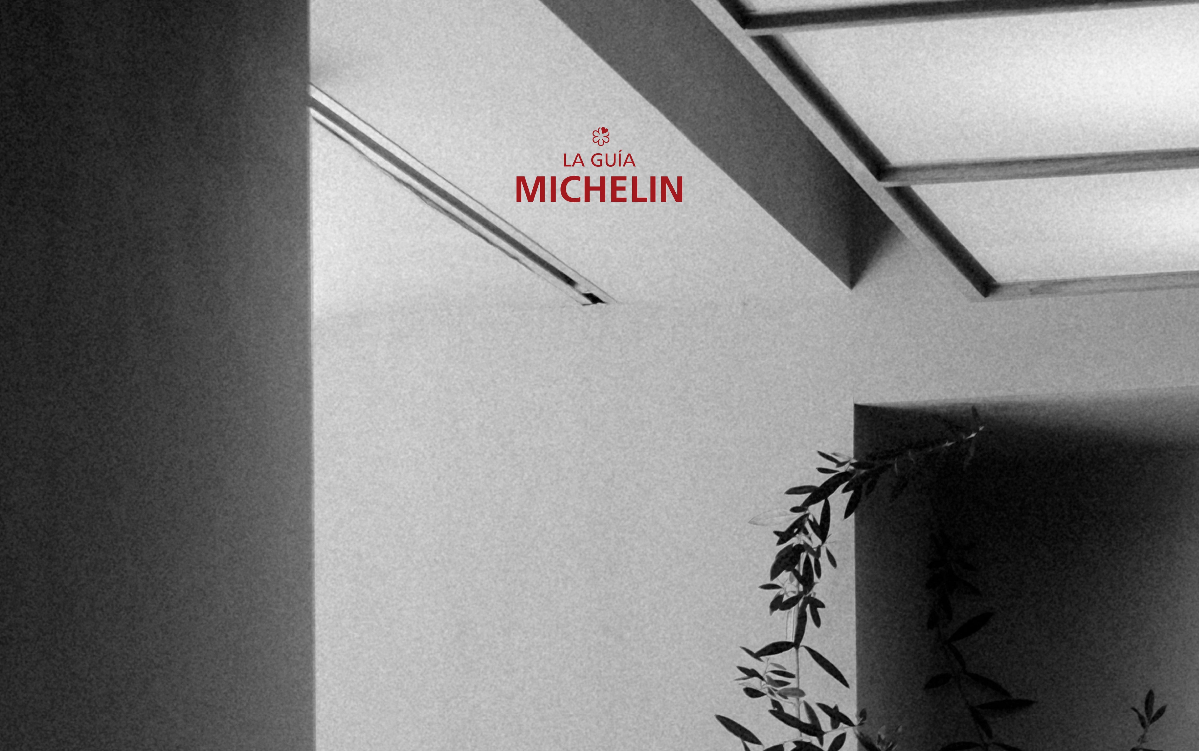 Foto Guia Michelin mención de Laguna Cyprien