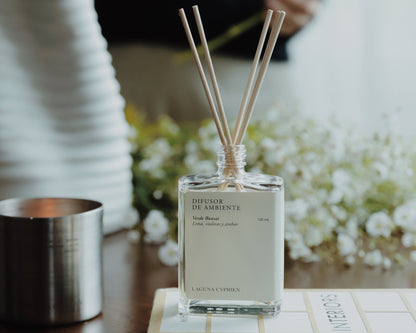 Room diffuser