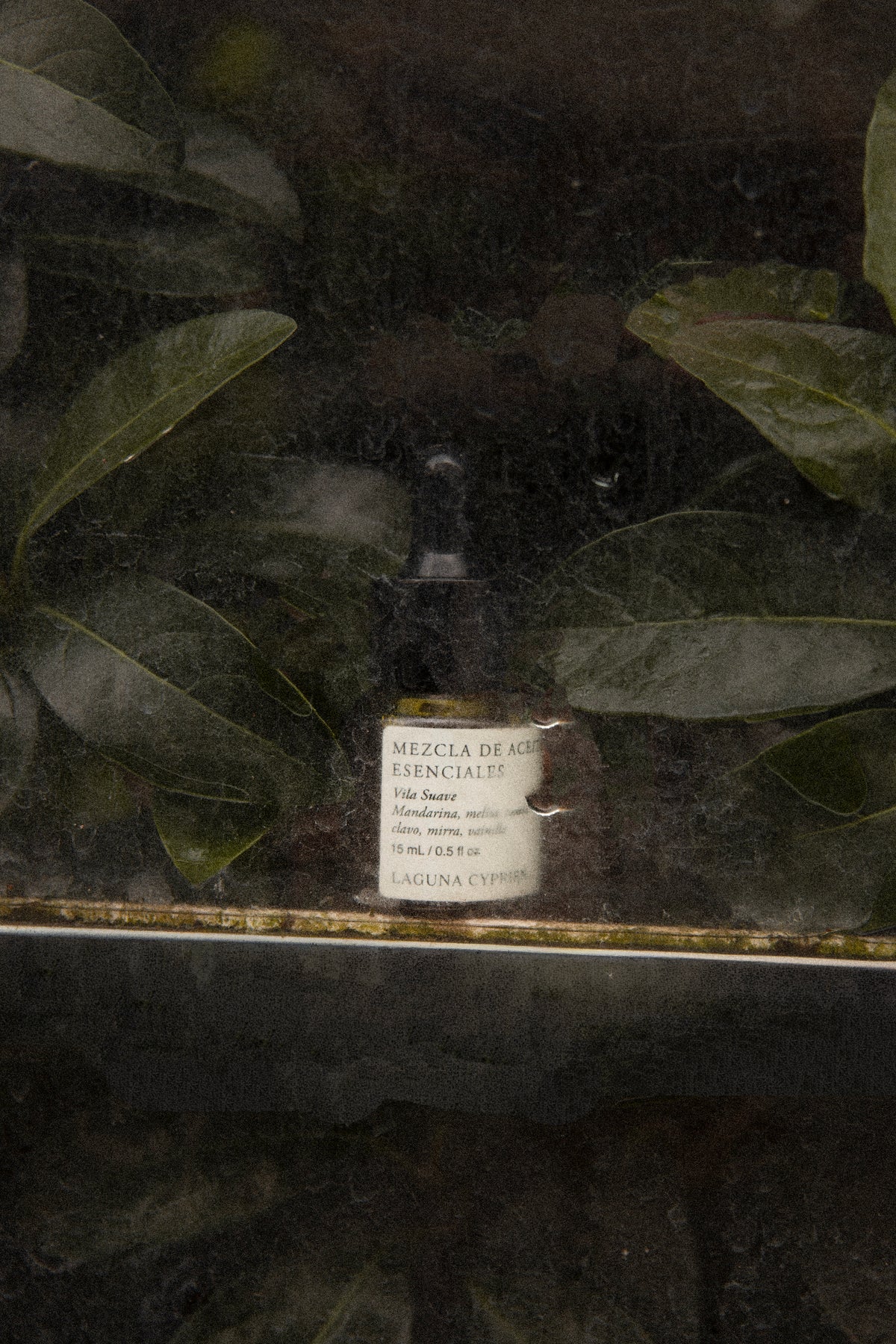 Essential Oil blend - Vila Suave