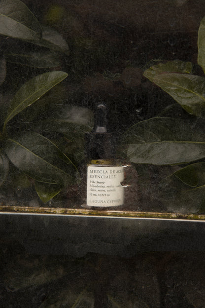 Essential Oil blend - Vila Suave