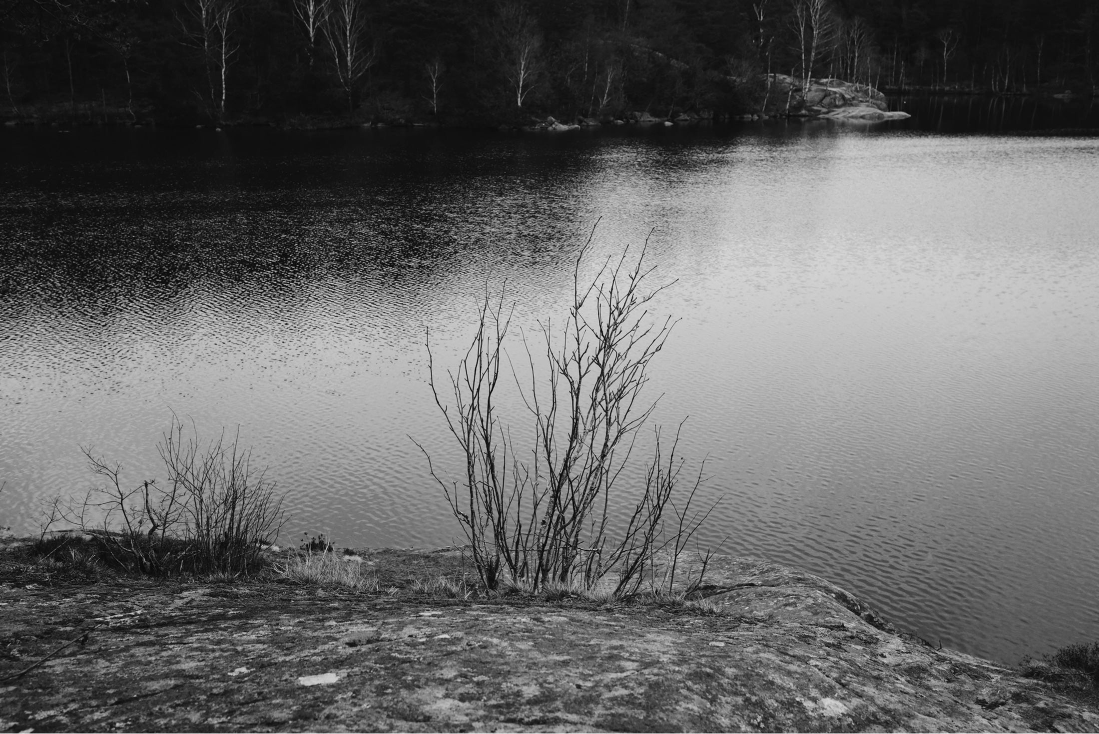 Foto de un lago en Gotemburgo Suecia en blanco y negro 
