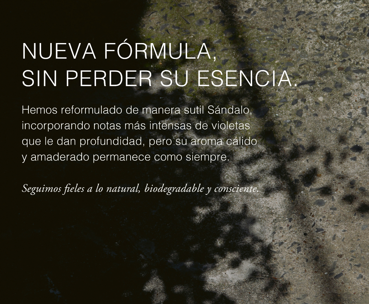 Crema hidratante Álbum Botánico - Sándalo