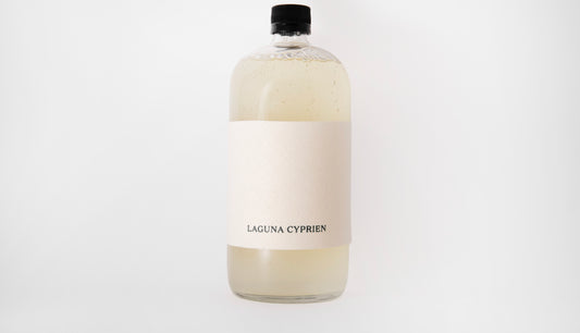 Laundry detergent - Fica Folia