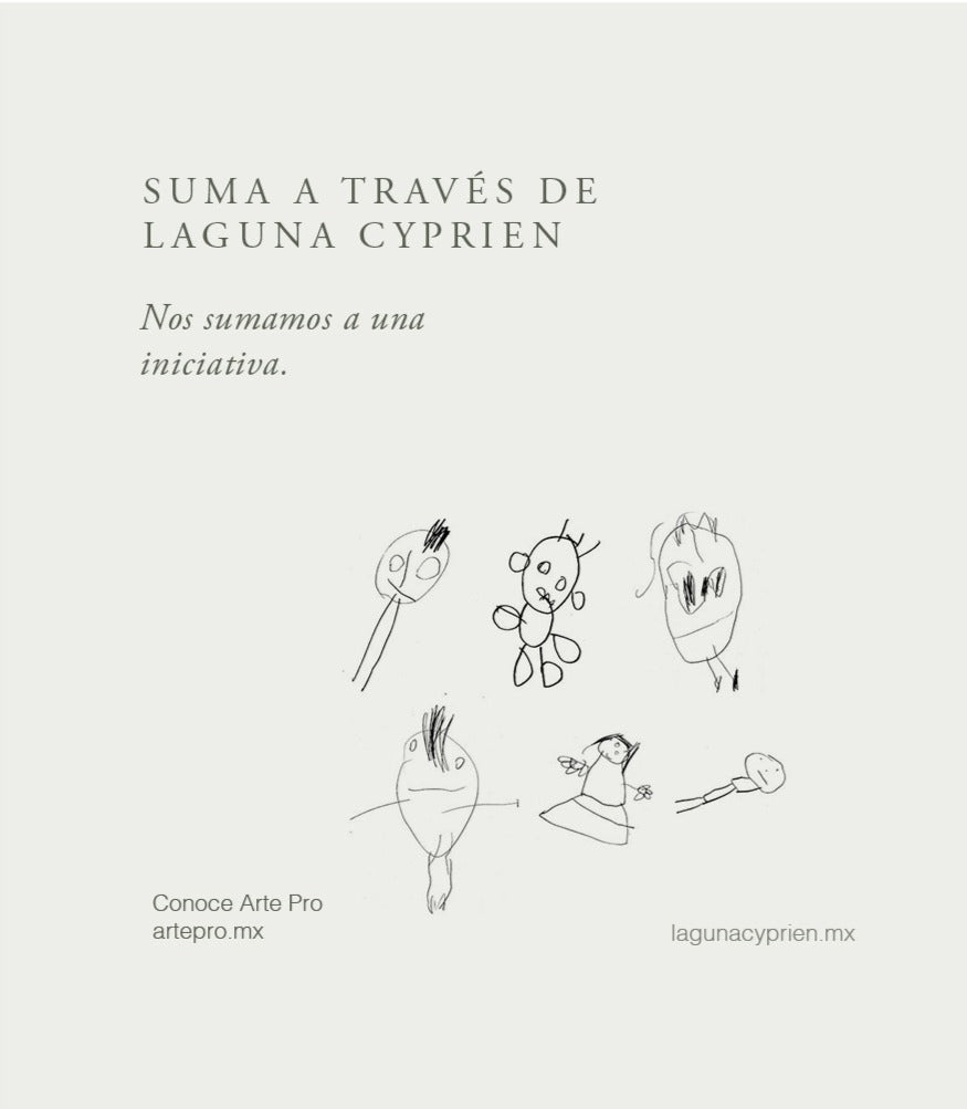 Donación Laguna Cyprien x Arte Pro